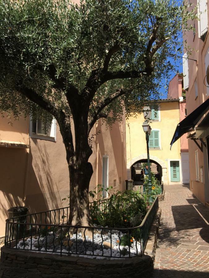 סן-מקסים Bastide Du Levant מראה חיצוני תמונה