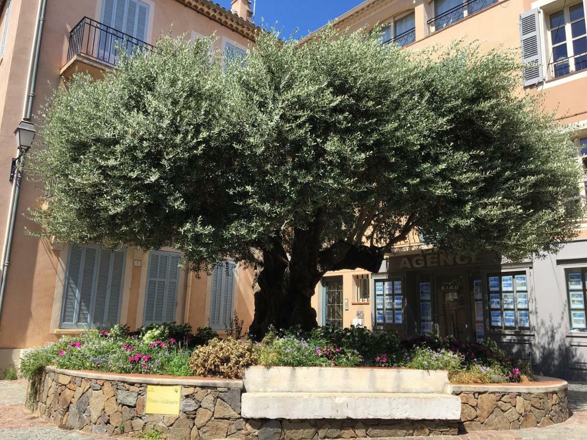 סן-מקסים Bastide Du Levant מראה חיצוני תמונה